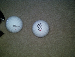 My ProV1x marked for play. Cartoon of my dog.